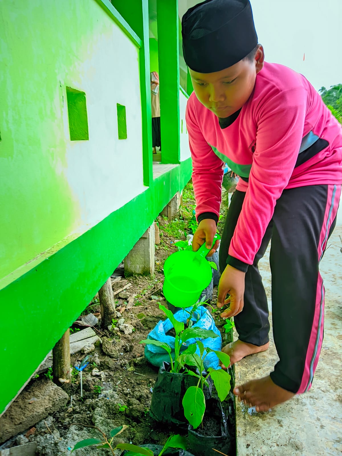 Madrasah Hijau Mencetak Generasi Peduli Lingkungan