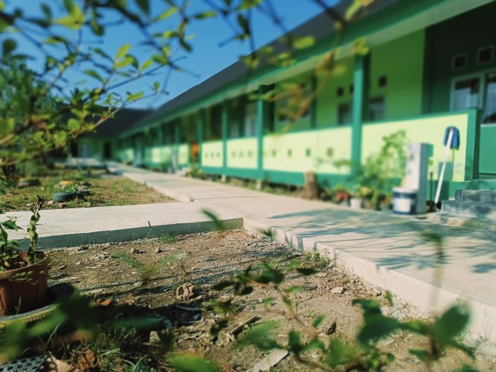 MIN 2 Tanjung Jabung Barat Tawarkan Lingkungan Belajar Kondusif